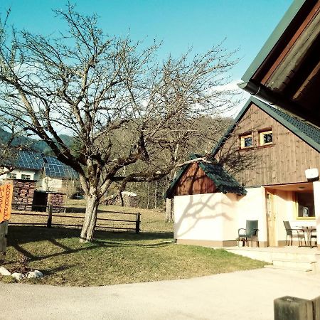 Apartma Hiska Korosec Bohinj Dış mekan fotoğraf