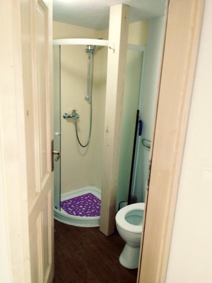 Apartma Hiska Korosec Bohinj Dış mekan fotoğraf