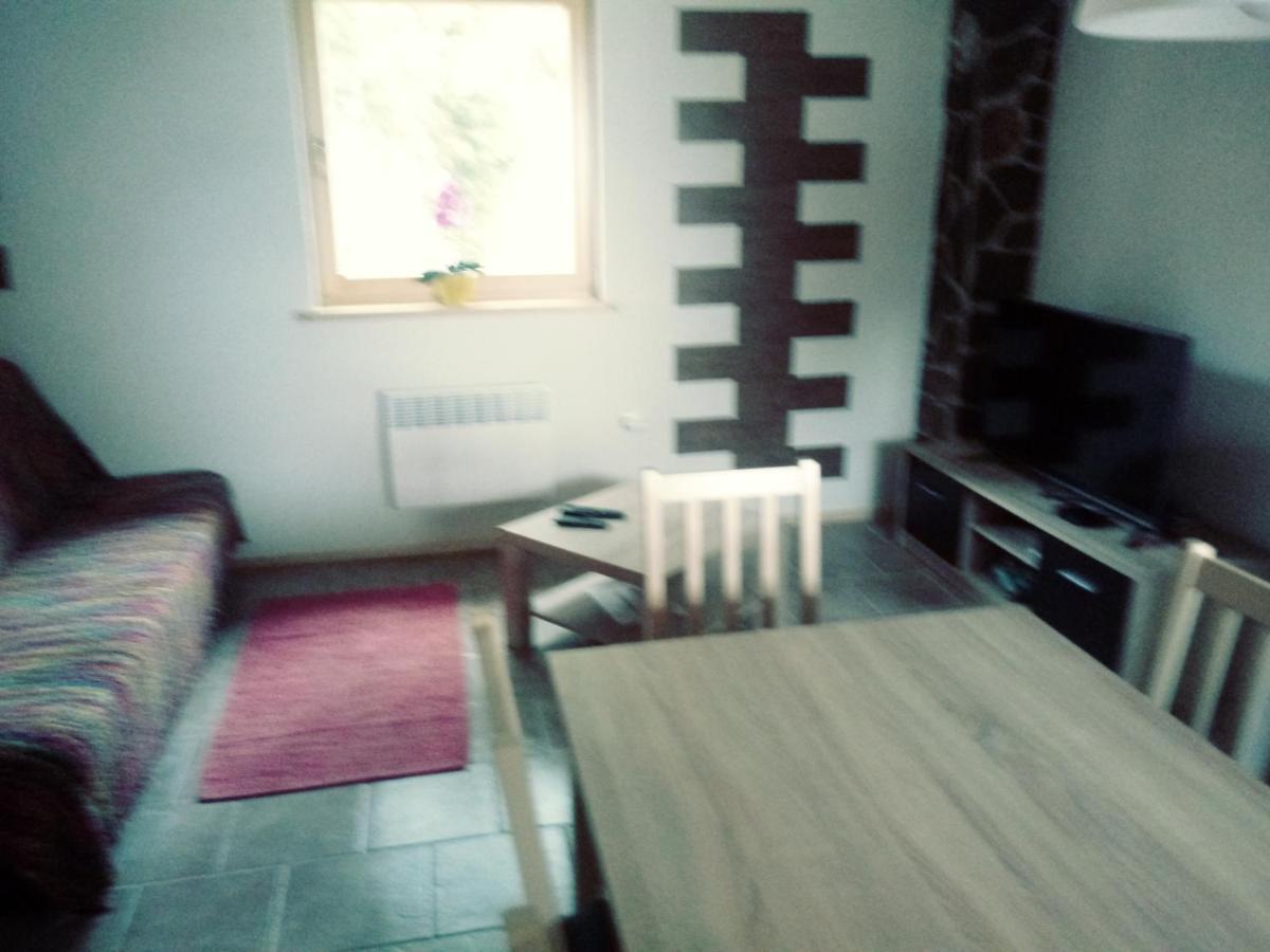 Apartma Hiska Korosec Bohinj Dış mekan fotoğraf